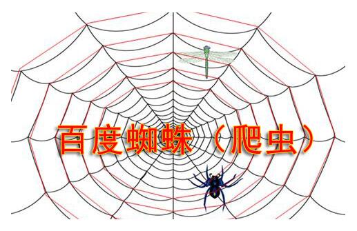 搜索引擎蜘蛛陷阱有哪些？如何避免蜘蛛陷阱